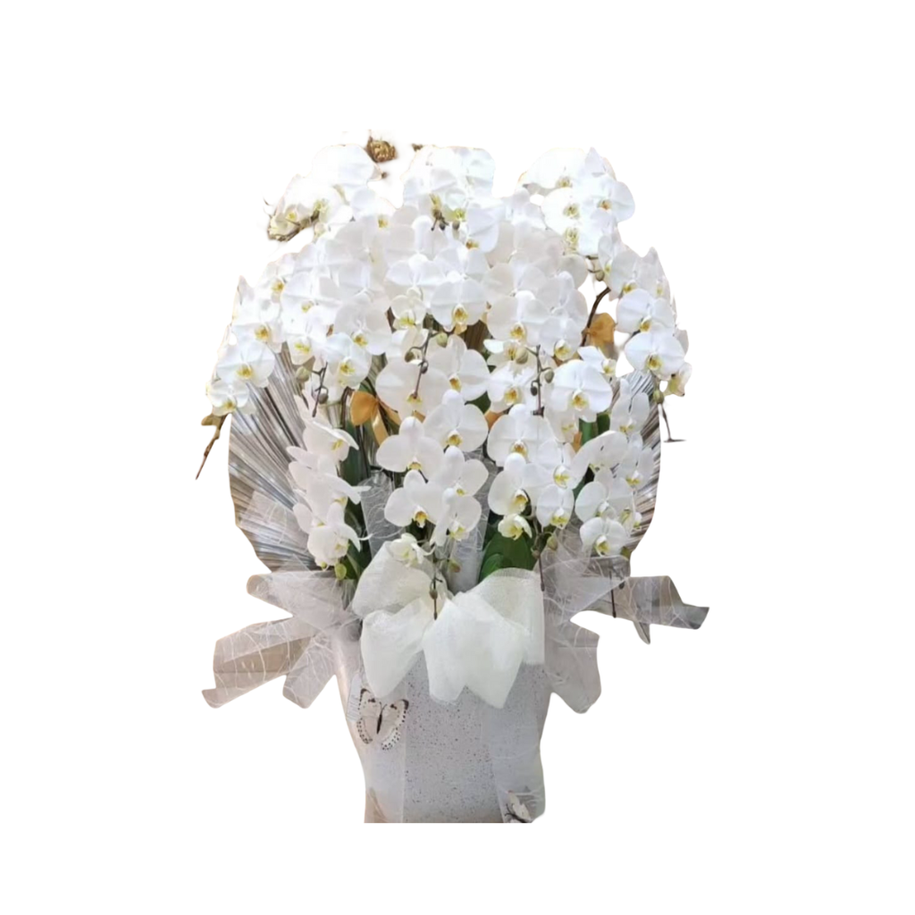 Bunga Meja Zinnia.png