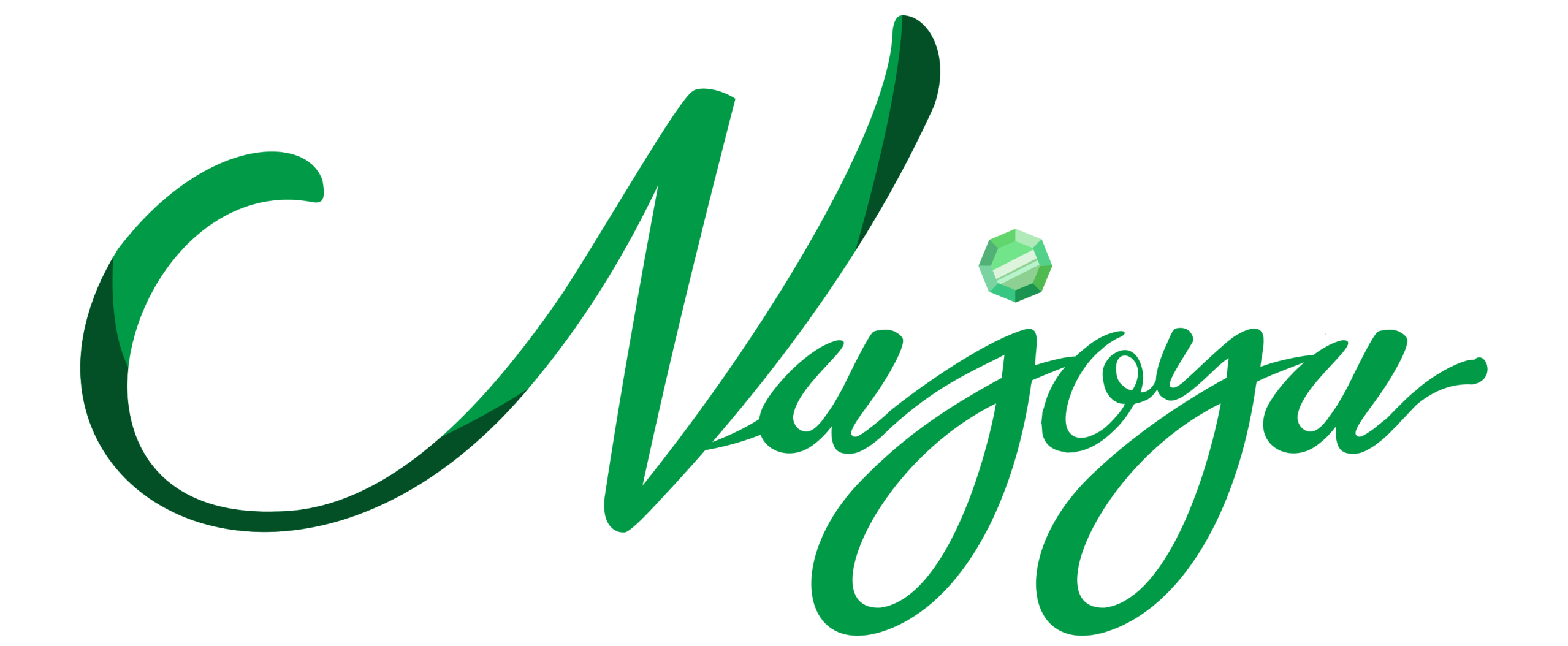 Najoya florist
